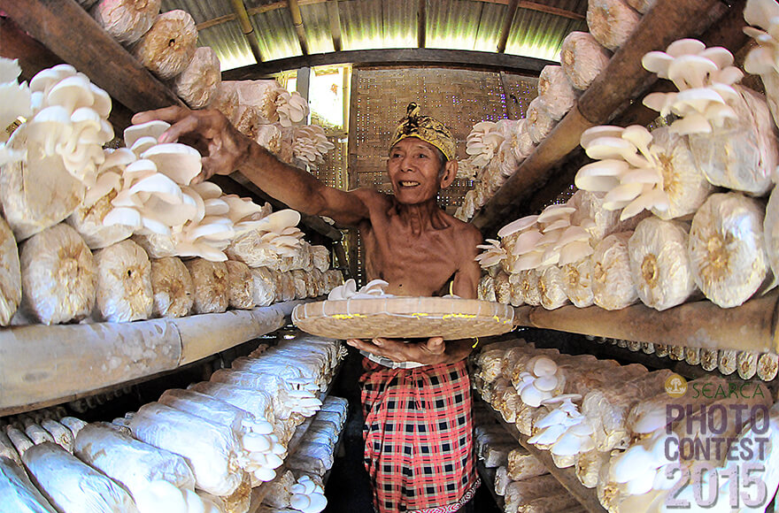 2015 SEARCA Photo Contest KADEK WIGUNANTARA EKA PUTRA