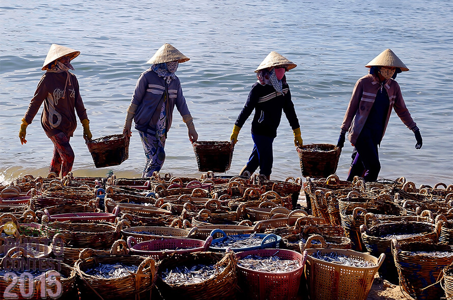 2015 SEARCA Photo Contest Nguyen Van Xuan