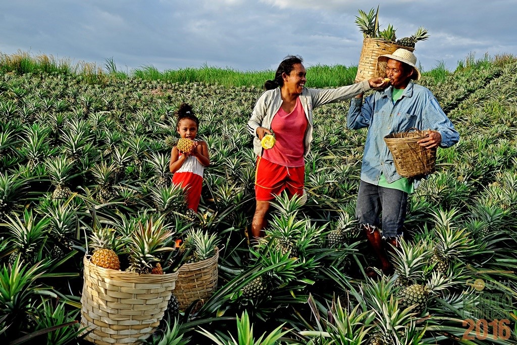 SEARCA_Photo_Contest_2016_finalist_Arturo_B_De_Vera_Jr