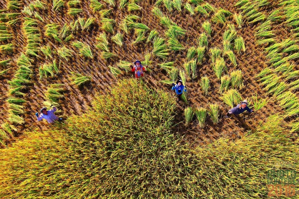 SEARCA_Photo_Contest_2016_finalist_Hansa-Tangmanpoowadol