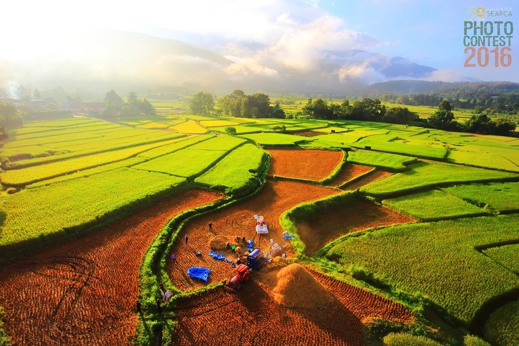 SEARCA_Photo_Contest_2016_finalist_Hansa_Tangmanpoowadol