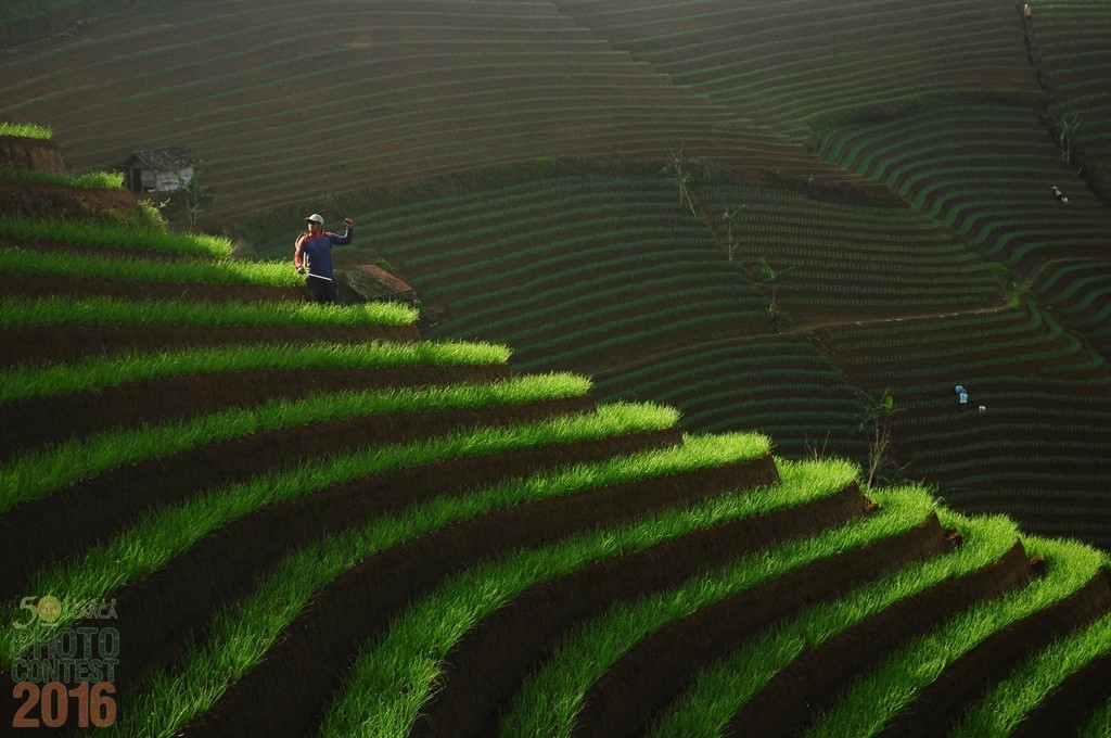 SEARCA_Photo_Contest_2016_finalist_Iim_Nur-Imansyah