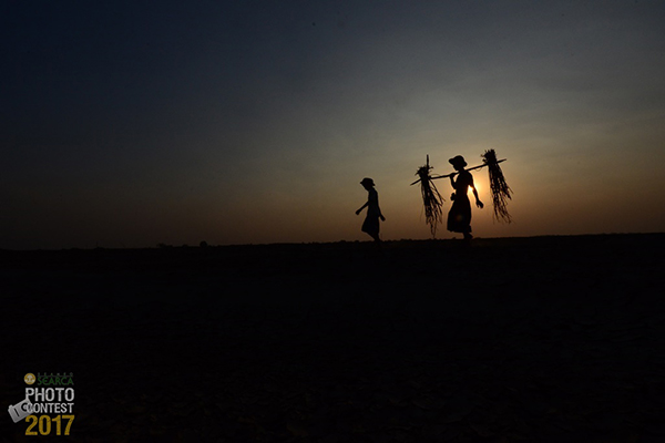 Tun Tun Khine (Myanmar) - Finalists