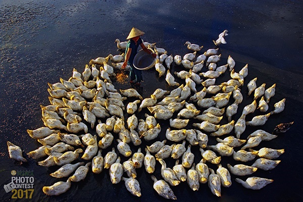 Trần Vĩnh Nghĩa (Vietnam) - Finalists