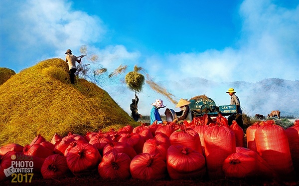 Tran Van Tuy (Vietnam) - Finalists