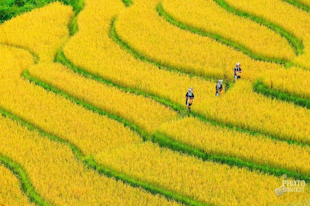 Kyaw Soe Latt (Myanmar) - People's Choice