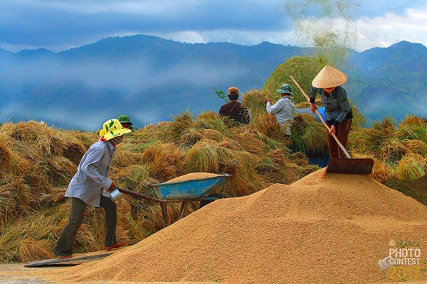 Trần Đình Thương (Vietnam) - Finalists