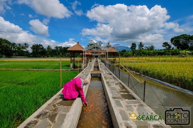 16th SEARCA Photo Contest (2022) - Finalist: GIRI WIJAYANTO, Indonesia